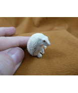 Hed-w3 little white Hedgehog shed moose ANTLER figurine Bali detailed ca... - £68.36 GBP