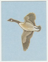 Vintage Gift Enclosure Card Goose Blue Background Unused Current - $6.92