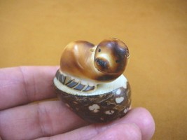 (TNE-SEAL-683B) brown Seal sea lion TAGUA NUT palm figurine carving I lo... - $16.12