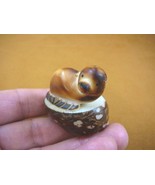 (TNE-SEAL-683B) brown Seal sea lion TAGUA NUT palm figurine carving I lo... - $295.70 MXN