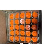 NEW 50 Pack Viking VK3001 23869AD 3mm Glass Bulb Quick Response Fire Spr... - $395.99