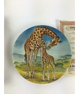 A Kiss for Mother by wildlife painter Yin-Rei Hicks Signs of Love Collec... - $34.16 CAD
