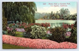 Postcard Flower Beds Eastlake Park Los Angeles California Ed Mitchell Co. - $3.75