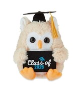 Graduation Small Brown Class of 2025 Owl Plush with Gift Card Holder, 9&quot; - $278.71 MXN