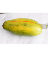PWO Papaya Seeds Proven Sweet, Healthy, Carica Papaya Buy 50 Get 10 Free - £8.79 GBP