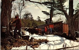 Greetings From Franklin Vermont And Lake Carmi Vermont Postcard - $10.00