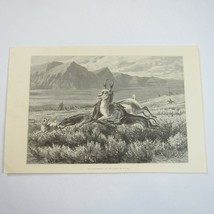 Antique 1874 Engraving Print Antelope-Hunting on the Plains, WM Cary, The Aldine - £47.01 GBP