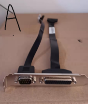 Lenovo Thinkcentre Serial cable com2 Port 03T8177 Parallel LPT 45J9598 4... - $19.79