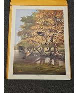 RAY HARM WOOD DUCKS PRINT Wetland Wildlife Art Signed Numbered Vintage E... - $128.65