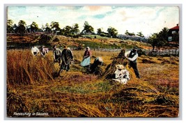 Harvesting Wheat In Sweden Agricultural UNP DB Postcard Z3 - $3.91