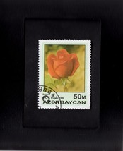  Tchotchke Frame Stamp Art -Collectible Postage Stamp Hybrid Red Rose - £7.07 GBP