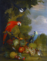 FRAMED CANVAS ART PRINT  Still life with fruits grapes exotic birds macaw parrot - £31.00 GBP+