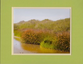 Oso Flaco Lake California State Park by Barbara Snyder Print Double Matted 11x14 - £27.68 GBP