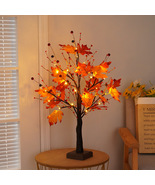Maple tree tamp - $1,269.78 MXN