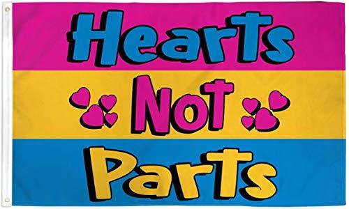 Hearts Not Parts Pansexual Pride Pride Flag - 3x5ft Poly - Perfect for h... - $4.88