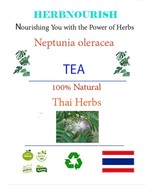 Neptunia oleracea Tea: Health Benefits &amp; Nutritional Powerhouse Revealed - $9.90