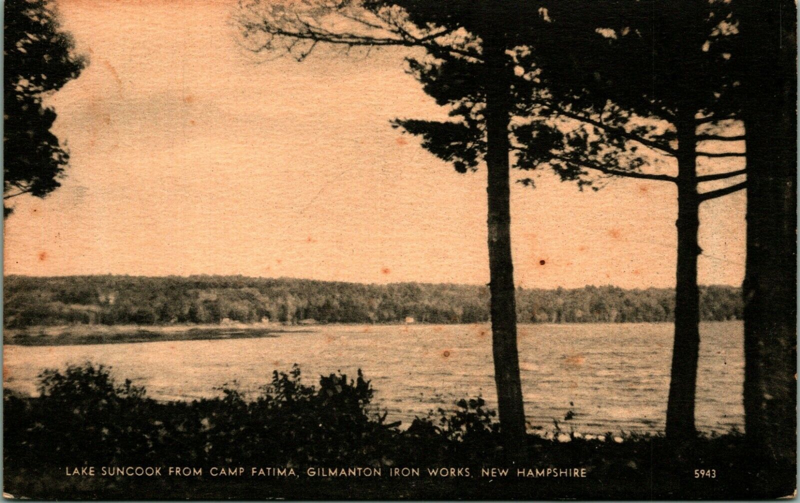 Primary image for Lake Suncook From Camp Fatima Gilmanton Iron Works NH UNP Photolux Postcard B8