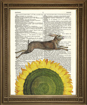 Spring Hare And Sunflower Art: Animal Print, Wall Hanging On Vintage Book Page - £6.24 GBP