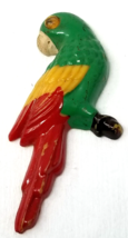 Parrot Magnet 1950s Small Goolgy Eye Plastic Red Yellow Green - $11.35
