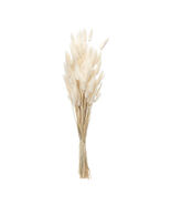 Bunny Tail Bundle (Set of 2) - 829038 - $55.02