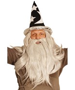 Wizard Wig and Long Beard with Wizard Sorcerer Costume Hat - All Included - $385.76 MXN