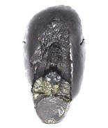 Sacred Adwaitya Golden Shodashi Tripura Sundari Dasha MahaVidya Shaligram - €166,50 EUR