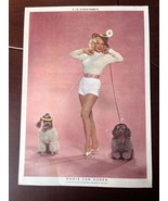 Vintage Movie Actress &amp; Singer  MAMIE VAN DOREN Mexican Sexy Poster From... - $28.04