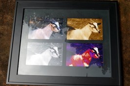 Goat photo art framed with glass 13X16" large collage animal farm pet - $858.39 MXN
