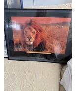 Successories Essence of Survival Framed Print 18” x 24”  Lion &amp; Gazelle ... - $74.25