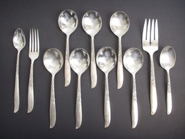 Lot 11 Pc Oneida Wildwood I Always Silverplate Soup Sugar Spoon Meat Fork - £43.94 GBP