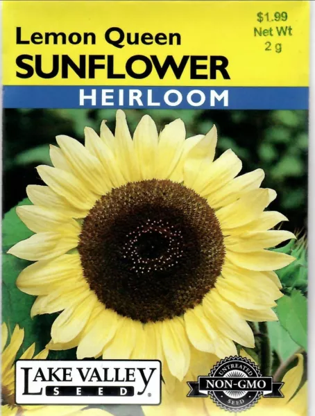 Sunflower Lemon Queen Heirloom Non Gmo Flower Seeds Lake Valley 12/24 Fresh New - £6.89 GBP
