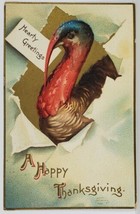 Ellen Clapsaddle Thanksgiving Hearty Greetings Turkey Embossed Postcard R16 - £11.95 GBP