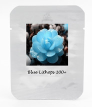 1 Pack 100 Seeds Bright Blue Lithops Livingstones Seeds Bonsai #Nf400 Fresh Gard - £11.14 GBP