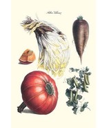 Vegetables; peas, melon, brussel sprouts, gourb, by Philippe-Victoire Le... - £17.30 GBP+