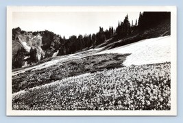 RPPC Paradise Valley Mount Rainier National Park WA Washington Postcard N12 - £3.90 GBP