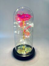 Enchanted Forever Rose Flower In Dome Glass LED Night Light Anniversarie... - $11.59