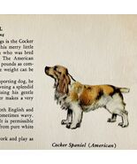 American Cocker Spaniel 1939 Dog Breed Art Ole Larsen Color Plate Print ... - $42.03 CAD