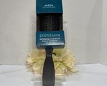 Aveda Pramasana Exfoliating Massage Scalp Paddle Brush - New In Box - Fr... - $11.83