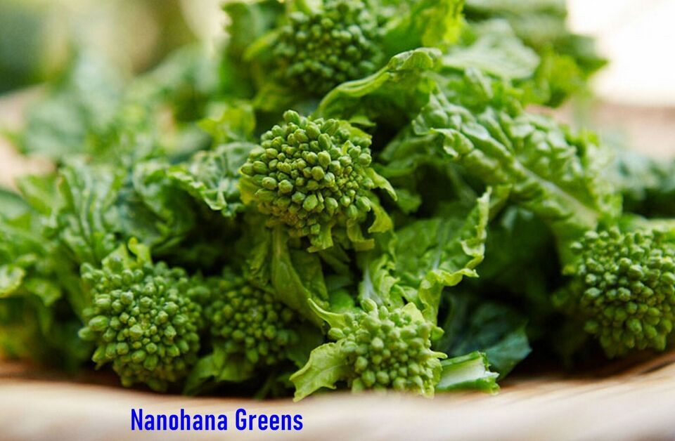 Mixed Asian Mustard Greens Featuring Hiroshima-na, Edible Nanohana, Koma... - $3.21+