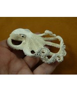 octo-w50 med/large Octopus of shed ANTLER figurine Bali detailed I love ... - $367.89 CAD