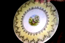 VINTAGE Set of 2 Fine China Gold Embossed rims Salad/desert Plates Bird ... - $8.91