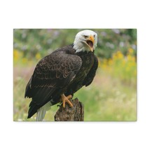 Majestic Bald Eagle Art Majestic Bald Eagle Print Animal Wall Art Wildli... - £56.29 GBP+