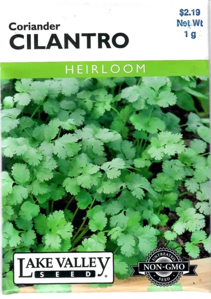 Coriander Cilantro Heirloom Herb Seeds Non Gmo Lake Valley 12/24 Fresh New - £6.68 GBP