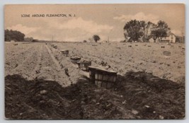 Flemington NJ Farming Scene New Jersey Postcard X25 - $12.95