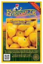 40 Yellow Bh Scallop Summer Squash Seeds Everwilde Farms Mylar Seed Packet - $9.99