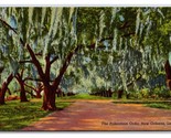 Parkenham Oaks New Orleans Louisiana LA UNP DB Postcard O20 - $4.90