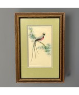 Vintage Feather Bird Wall Art Mid Century Framed Long Tail Nature Decor - €28,13 EUR