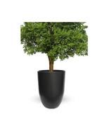 Sunscape Bell Planter Matte Black - $5,369.09 MXN