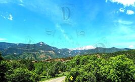 Item image 1 image 1