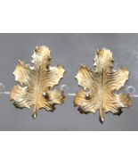 Vintage Classic Giovanni MCM 1960&#39;s Gold Tone Leaf Shaped Clip-On Earrings - £3.80 GBP